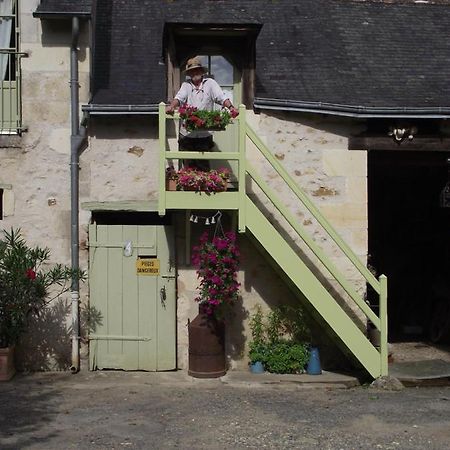 Bed and Breakfast Chambre D'Hotes Le Vaujoint Cheillé Exterior foto