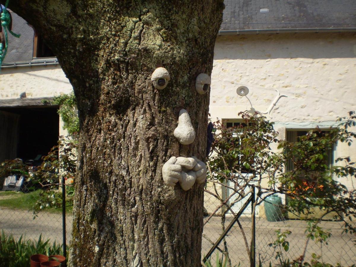 Bed and Breakfast Chambre D'Hotes Le Vaujoint Cheillé Exterior foto